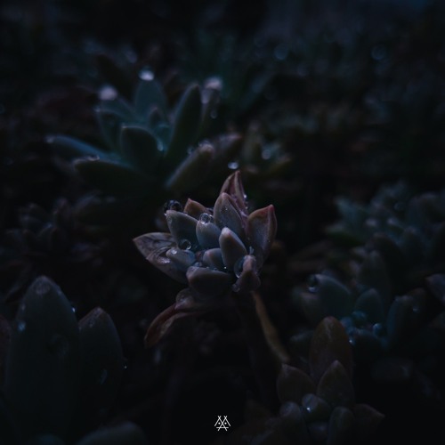 Little Piece in E minor