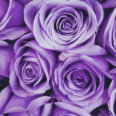 SHADOWS FT .AYUMI 〔prod.amuelsay x iof〕