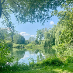 sunday walk