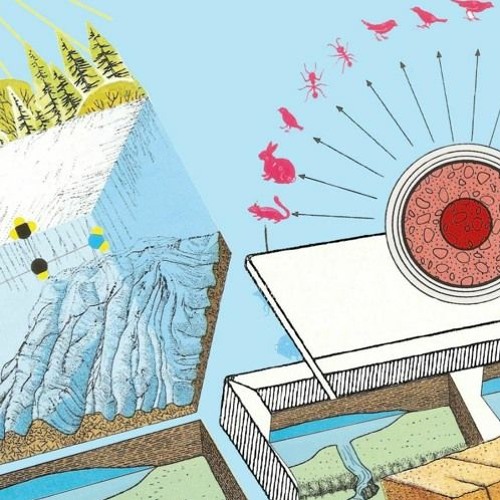 Stream Contested nature: Who will benefit from biological diversity in ...