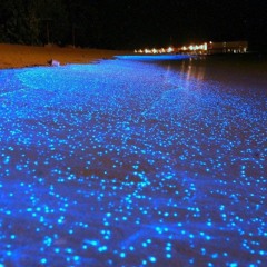 Chasing Stars Fuels Souls