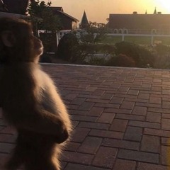 mn coeur c un soleil