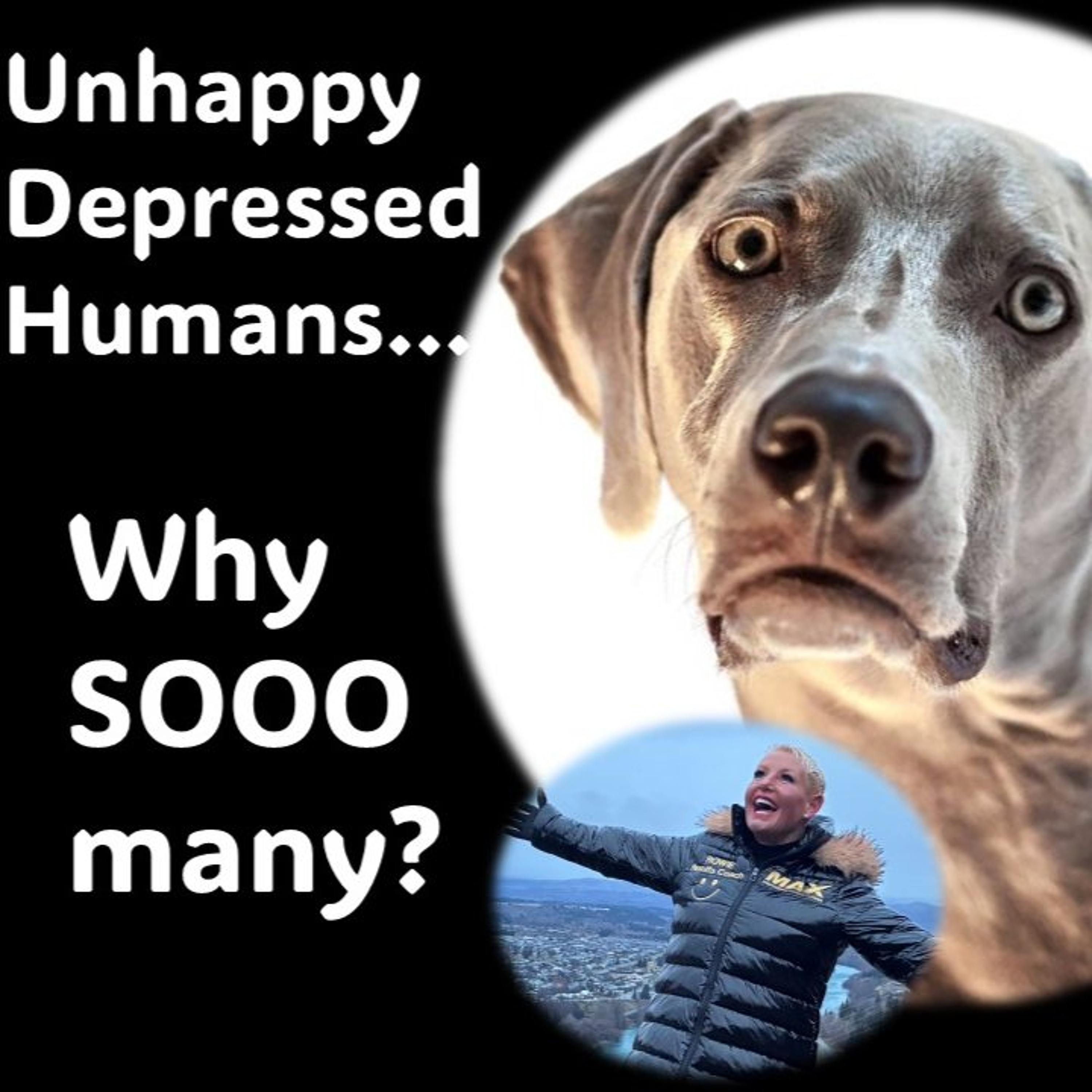 Unhappy, Depressed Humans- WHY so many? episode artwork