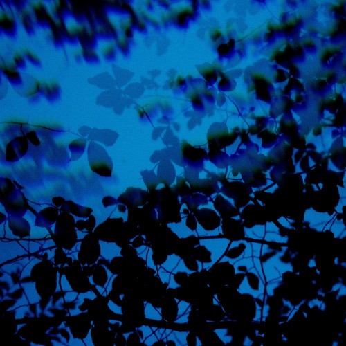 Nomyn & Kooma - Looking Back