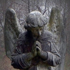 dreman - throwing a bunch of money (p. neckbleeding + 40kys) (chris finesse exclusives)