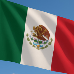 Mexico 🥇 - En Marcha Seguimos