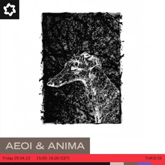 Aeoi & ANIMA