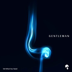 Gentleman - Tell Me What You Need (Original Mix)