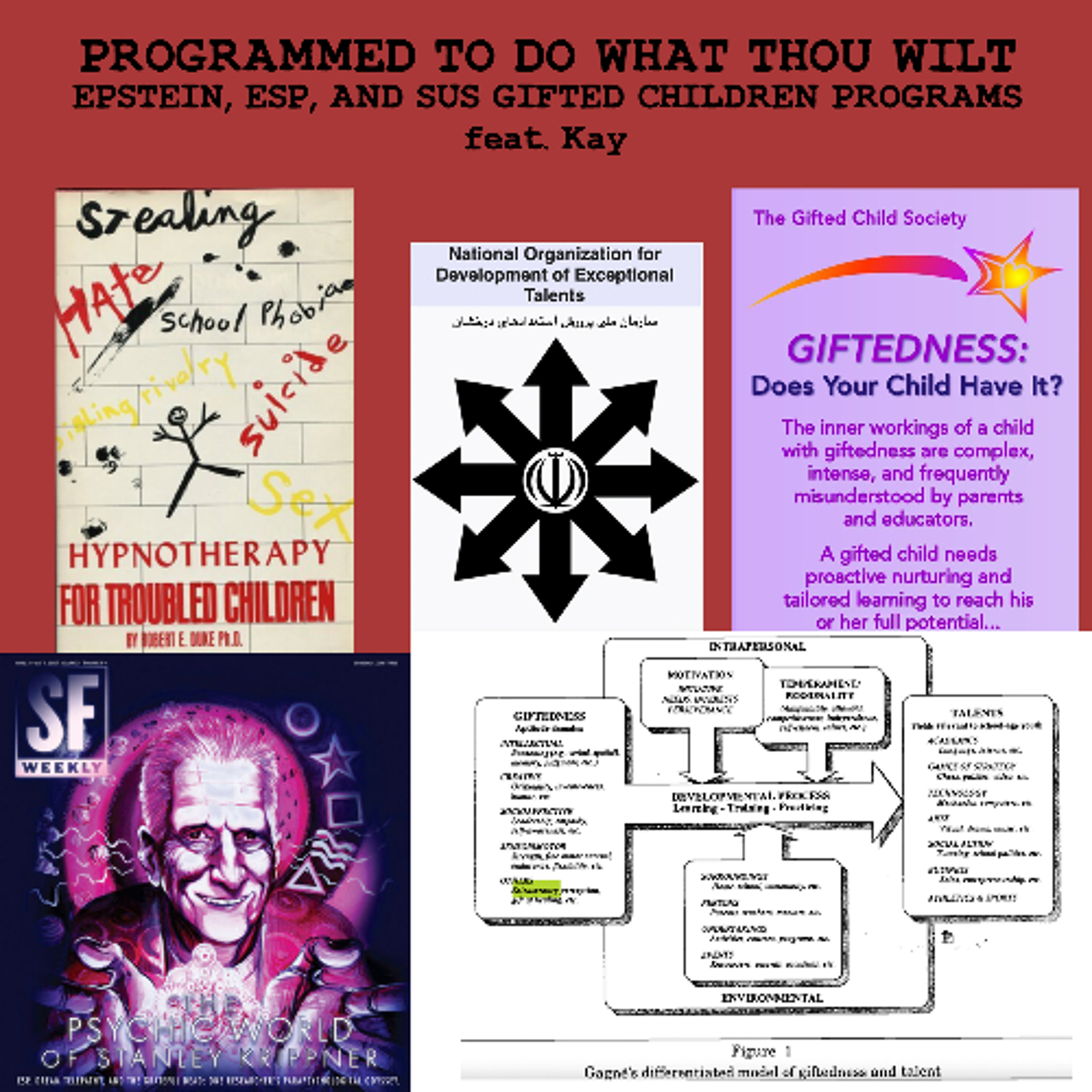 [#303] PROGRAMMED TO DO WHAT THOU WILT: Epstein, ESP, and Sus Gifted Children Programs w/ Kay