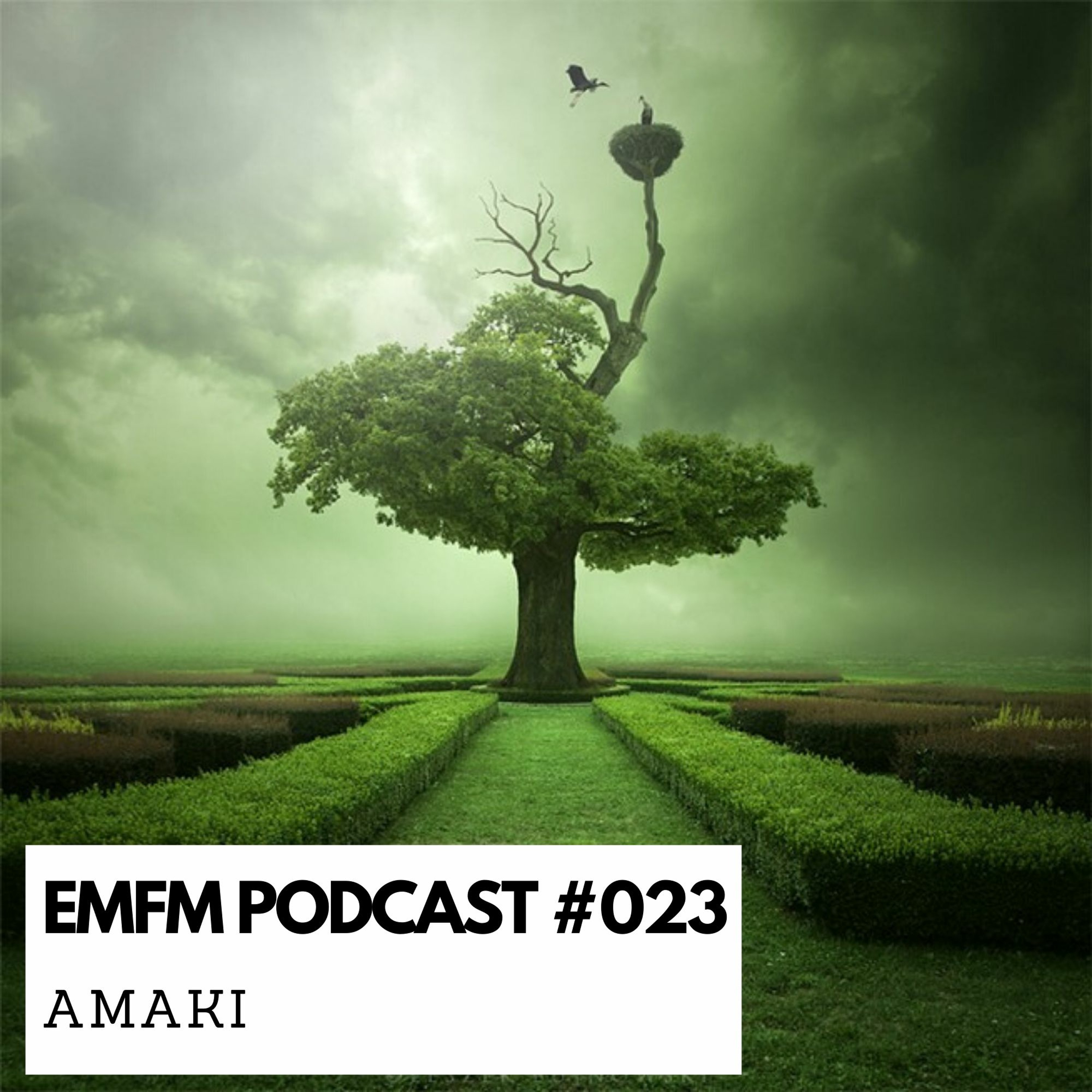 Amaki - EMFM Podcast #023 episode artwork