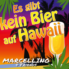 Es gibt kein Bier auf Hawaii (Karaoke-Mix)