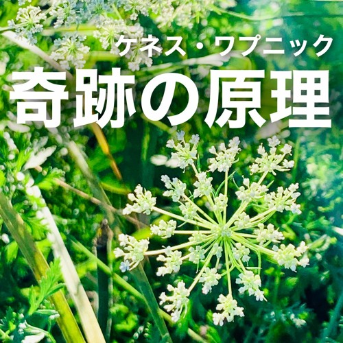 #36奇跡の原理（原理35）