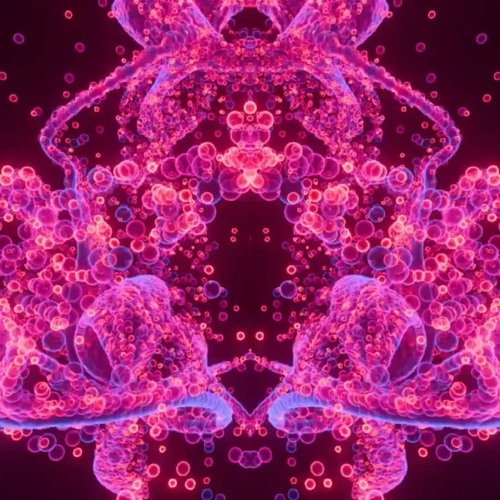 BLOAW BLOAW