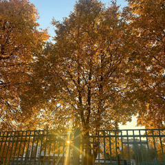 Осень шепчет не спеши