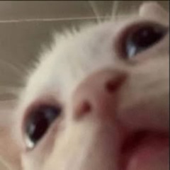 cant stop me ft xen,  dutchy, sunl1ght (star3d)