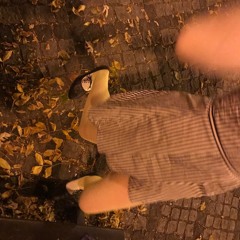 autumn meditation