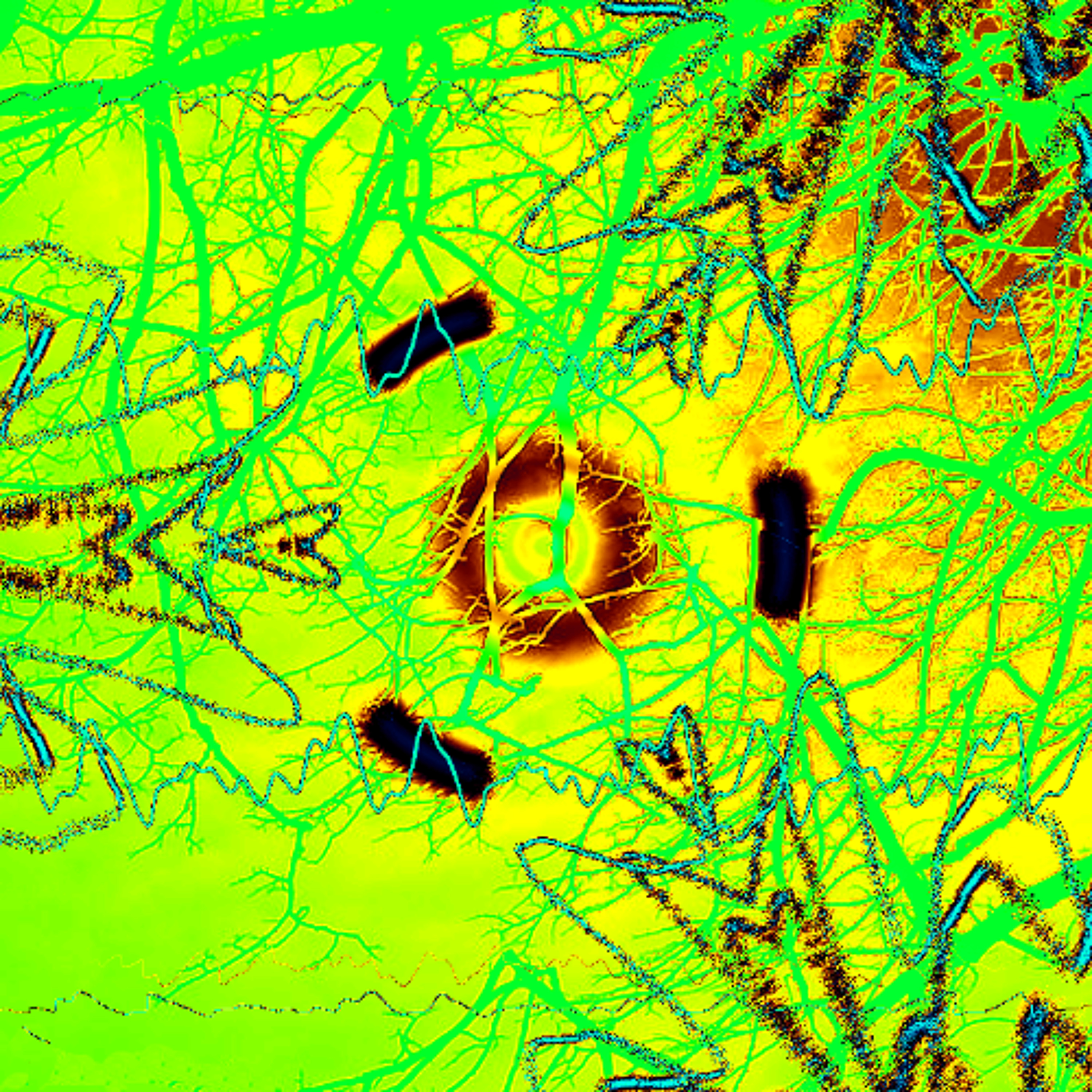 PLATO No. 10871 In Heart's House (for Alex Pretti) episode artwork