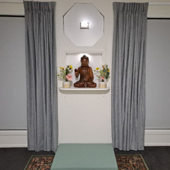 MIDL Insight Meditation Skill 09 Transform Subtle Wandering into Sustained Attention