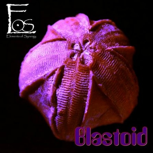 Elements of Synergy - Blastoid (Loop) 140