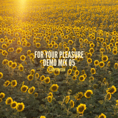 For Your Pleasure Demo Mix 05