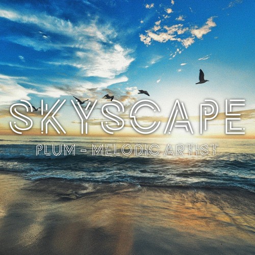 【Raindrops/costheta/Rizline】 Skyscape (Game Edit Ver.)