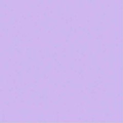 dunefr - jodune joestar (2023)