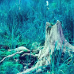 Branching Story In The Forgotten Woods
