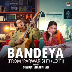 Badeya | Parwarish | Lo-Fi | Slow & Reverb 🎶 | Shafqat Amanat Ali | ARY Digital