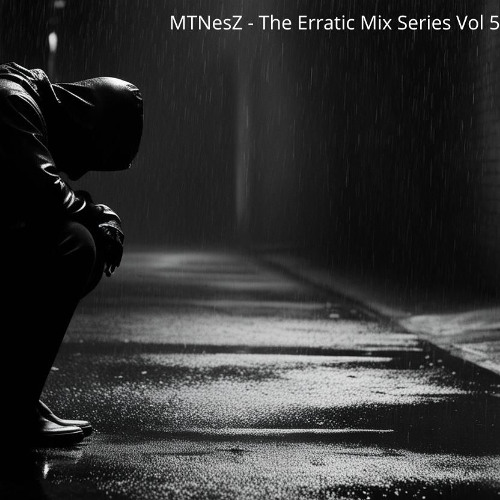 The Erratic Mix Series Vol 5