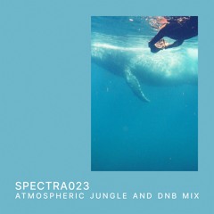 SPECTRA 023 | Atmospheric Jungle and Dnb Mix