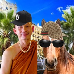 Velkommen Til Munker Hesten