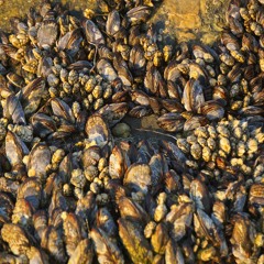 Sanctuary prod. MISOGI