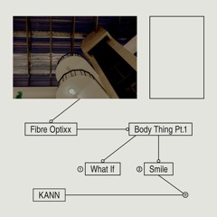 pi pi pi premiere: Fibre Optixx - What If (KANN)