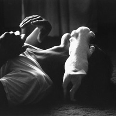 quiet heart loud ache