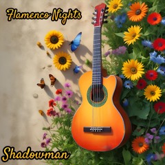 Flamenco Nights * Instrumental