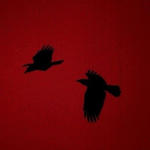 ZADSU - MOONLIGHT (prod. NEXTIME)
