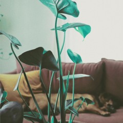 Reflections at 115 BPM