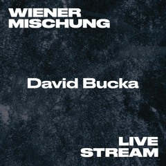 David Bucka - Live from Studio for Wiener Mischung