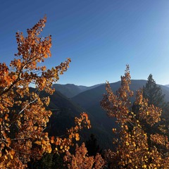 You Gave Me Yours.m4a