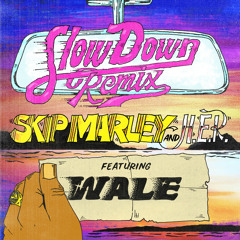 Slow Down (Remix) [feat. Wale]