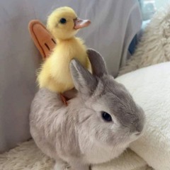 prada4k - neuer tag, neues pack [@420mgs exclusive]