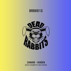 Zanard - Hidden (Extended Mix)