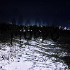 MODDO - Perfect Timing.wav