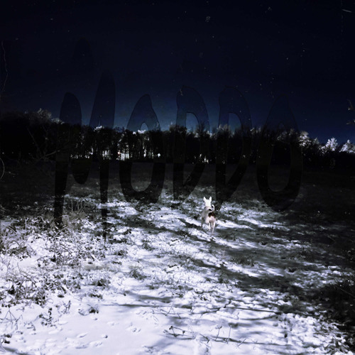 MODDO - Perfect Timing.wav