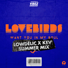 Lovebirds - Want In My Soul (Lowdelic x Kev' Summer Mix)