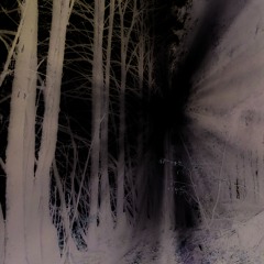 Brume dense