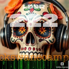 LDSR 222- ckswanecamp 2
