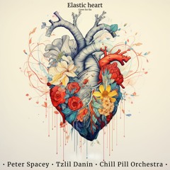 Elastic Heart (Sia Cover) • Peter Spacey • Tzlil Danin • Chill Pill Orchestra •