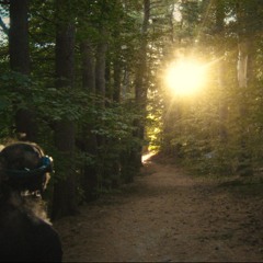 Normalizo (Prod. Ezra)