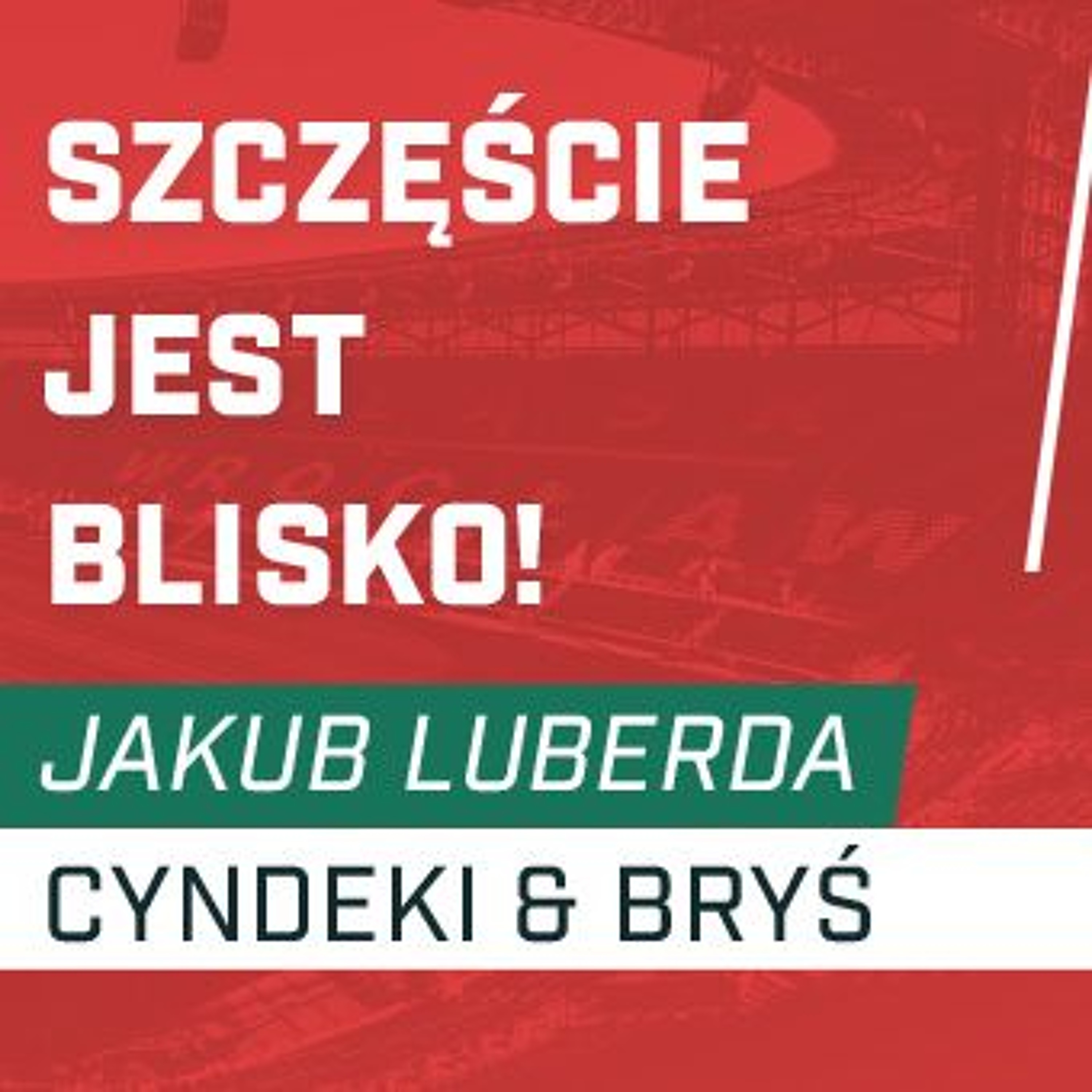 Śląsknet